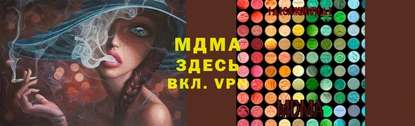 хмурый Алексин