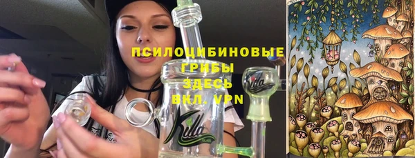 хмурый Алексин