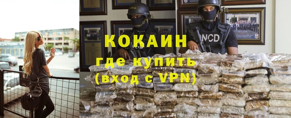 хмурый Алексин