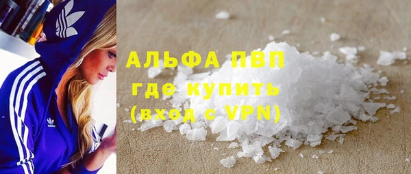 хмурый Алексин